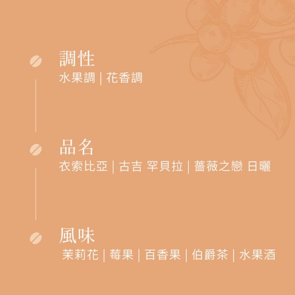 《茉莉花 & 百香果風味 》衣索比亞 古吉 罕貝拉 薔薇之戀 日曬 G1 • 單品咖啡豆200g/100g 咖啡豆推薦,精品咖啡豆,網購咖啡豆推薦,衣所比亞咖啡豆,網購咖啡豆專門店,咖啡豆