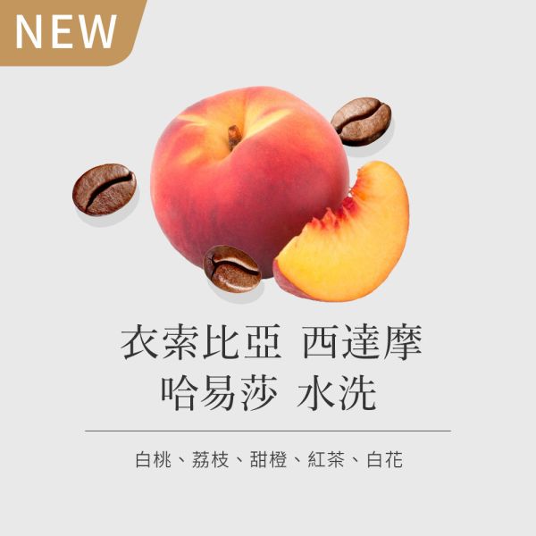 《白桃& 紅茶風味》衣索比亞 西達摩 哈易莎 水洗 •  單品咖啡豆200g/100g 咖啡豆推薦,精品咖啡豆,網購咖啡豆推薦,衣所比亞咖啡豆,網購咖啡豆專門店