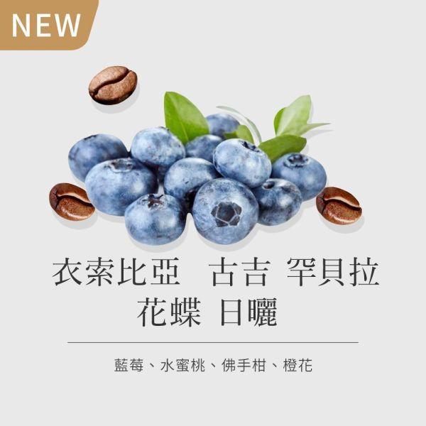 《藍莓&橙花風味》衣索比亞  古吉 罕貝拉 花蝶 日曬 • 咖啡濾掛10入 咖啡豆推薦,精品咖啡豆,網購咖啡豆推薦,衣所比亞咖啡豆,網購咖啡豆專門店,咖啡豆,咖啡濾掛