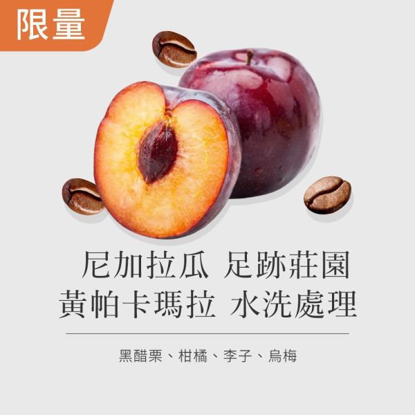 《柑橘&黑醋栗風味 》尼加拉瓜 米耶瑞詡家族 足跡莊園 黃帕卡瑪拉 水洗處理 • 單品咖啡豆200g/100g 咖啡豆推薦,精品咖啡豆,網購咖啡豆推薦,衣所比亞咖啡豆,網購咖啡豆專門店,咖啡豆