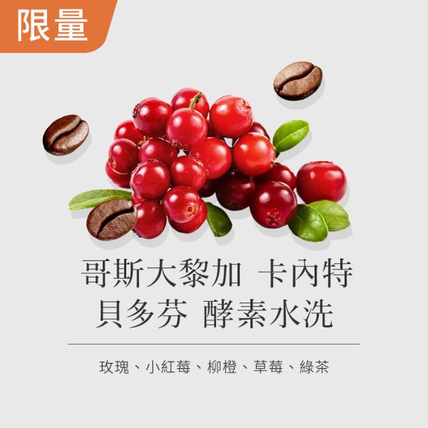 《2025音樂家系列》哥斯大黎加 卡內特 貝多芬 酵素水洗  • 單品咖啡豆 台北咖啡豆,網購咖啡豆,經品咖啡豆,音樂家咖啡豆,網購咖啡豆推薦