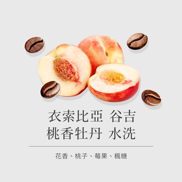 《桃子&楓糖風味》衣索比亞 桃香牡丹 水洗 • 單品咖啡豆200g/100g 咖啡豆推薦,精品咖啡豆,網購咖啡豆推薦,衣所比亞咖啡豆,網購咖啡豆專門店,咖啡豆