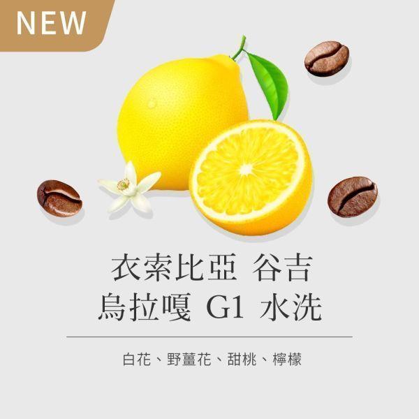 《檸檬&野薑花風味》衣索比亞 谷吉 烏拉嘎 G1 水洗 • 單品咖啡豆200g/100g 咖啡豆推薦,精品咖啡豆,網購咖啡豆推薦,衣所比亞咖啡豆,網購咖啡豆專門店,咖啡豆,單品咖啡豆