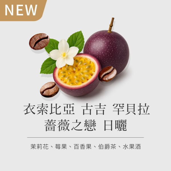 《茉莉花 & 百香果風味 》衣索比亞 古吉 罕貝拉 薔薇之戀 日曬 G1 • 咖啡濾掛10入 咖啡豆推薦,精品咖啡豆,網購咖啡豆推薦,衣所比亞咖啡豆,網購咖啡豆專門店,咖啡豆,咖啡濾掛