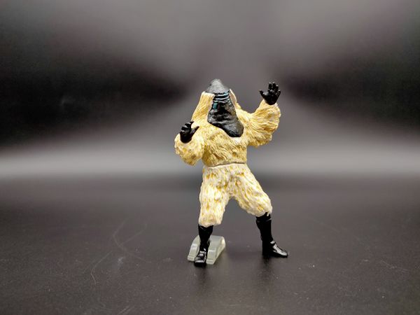 BANDAI 假面騎士 Masked Rider 轉蛋 HG 23 假面騎士 555登場篇 全7種 中古品-C級 