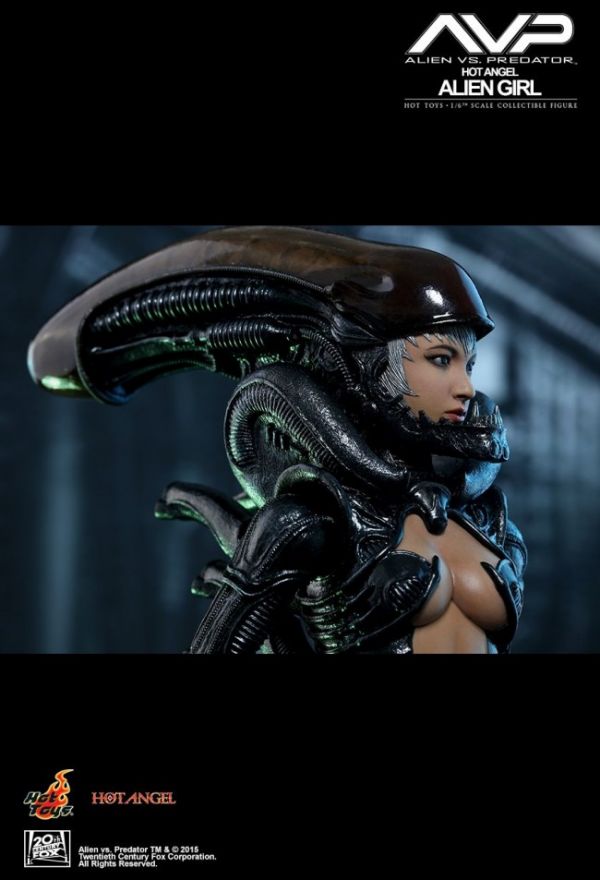 HOT TOYS HA002 異形戰場 異形女 
