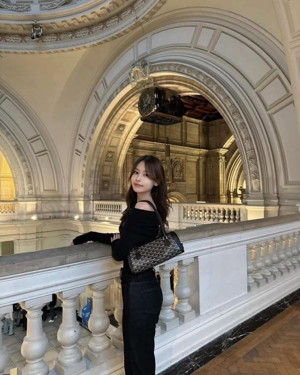 2026新款 Goyard 法棍包 2026新款 Goyard 法棍包