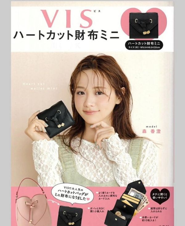 日本VIS wallet mook 大容量 日本VIS wallet mook 大容量