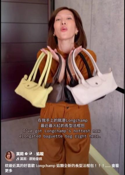 日本 longchamp 長柄法棍hobo包 日本 longchamp 長柄法棍hobo包