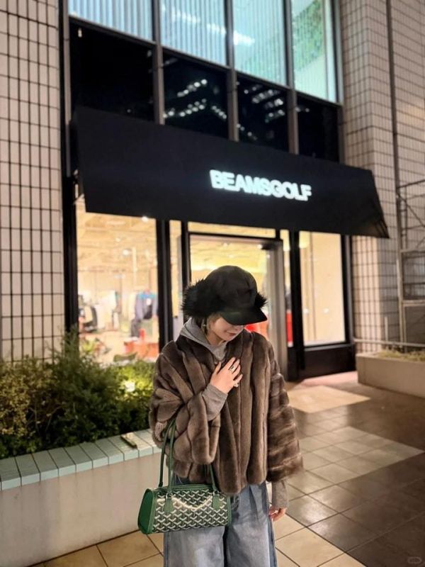 2026新款 Goyard 法棍包 2026新款 Goyard 法棍包