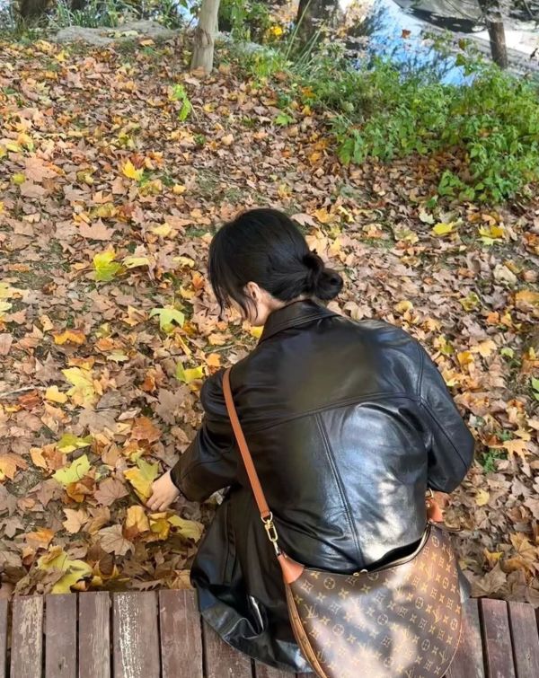 日本LV Loop Hobo M46311月亮包 日本LV Loop Hobo M46311月亮包