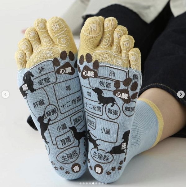 日本 靴下屋 穴位襪子套組 日本 靴下屋 穴位襪子套組