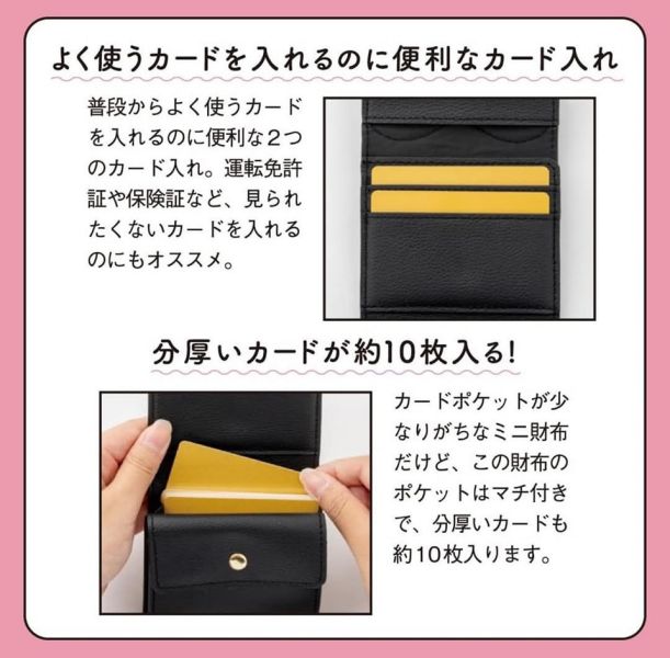 日本VIS wallet mook 大容量 日本VIS wallet mook 大容量