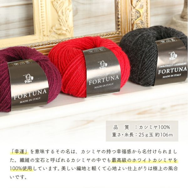 Puppy -  幸運卡西米 Cashmere 