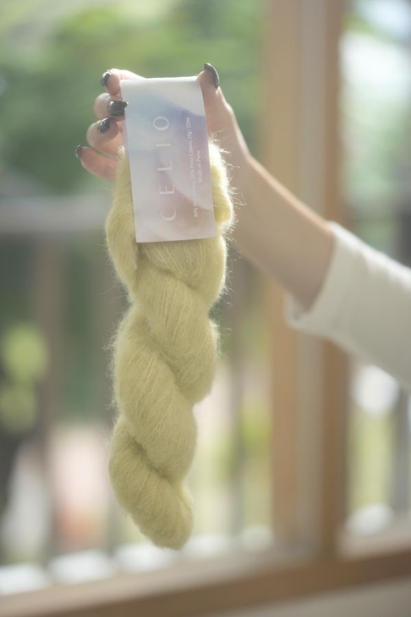 Celio 天空・秘魯 2 號｜Suri Alpaca，早鳥特惠！ Suri Alpaca , Baby Alpaca, 羊駝, 秘魯