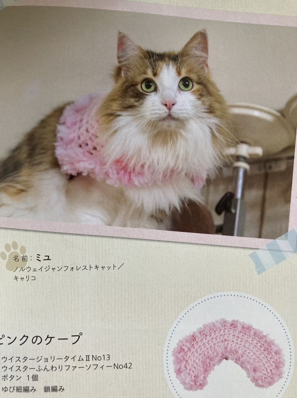 日文編織書 - 鉤針＋手編，日文編織書 - ゆび編みニットで作る かわいい猫グッズ 