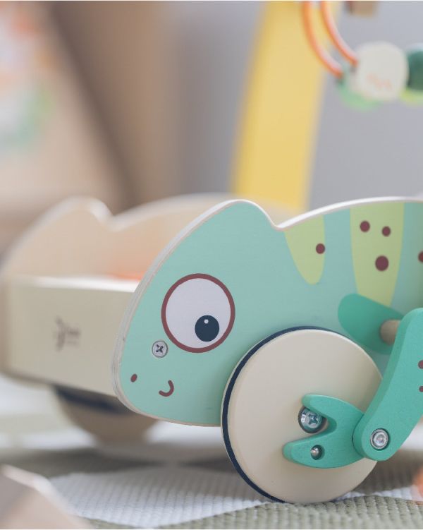 學步玩具｜變色龍寶寶探險車 Baby Walker with Blocks｜適合12個月以上【德國Classic World客來喜經典木玩】 classic world,德國木玩具,德國,客來喜,德國客來喜,德國classicworld,classicworld,classicworld台灣代理,classicworld獨家代理,德國設計玩具,玩具,木玩,經典木玩,木製玩具,木質玩具,兒童玩具,寶寶玩具,益智,益智玩具,安全玩具,無甲醛,零甲醛,無毒,環保漆,手眼協調,視覺發展玩具,智能發展玩具,視覺專注,抓握力,邏輯力,專注力,拼圖,