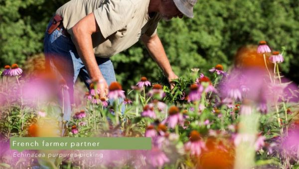 #雙11#　Reborn｜重生系列 1111,1111活動,1111優惠,雙11,雙11活動,雙11優惠,甦醒,淨化,更新,能量,復甦,重生,宇宙,顯化,喚醒,佛手柑 甜橙,葡萄柚,黑胡椒,檸檬馬鞭草,檸檬尤加利,迷迭香,天竺葵,薄荷,歐薄荷,胡椒薄荷,大西洋雪松,乳香,岩蘭草,母親節禮物,母親節,聖誕節,交換禮物,端午節,中秋節,入宅,入宅禮物,伴手禮,喬遷賀禮,喬遷,升官,生日禮物,彌月禮,婚禮小物,新年禮物,聖誕禮物,年節送禮