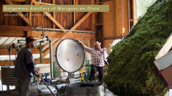 #雙11#　Reborn｜重生系列 1111,1111活動,1111優惠,雙11,雙11活動,雙11優惠,甦醒,淨化,更新,能量,復甦,重生,宇宙,顯化,喚醒,佛手柑 甜橙,葡萄柚,黑胡椒,檸檬馬鞭草,檸檬尤加利,迷迭香,天竺葵,薄荷,歐薄荷,胡椒薄荷,大西洋雪松,乳香,岩蘭草,母親節禮物,母親節,聖誕節,交換禮物,端午節,中秋節,入宅,入宅禮物,伴手禮,喬遷賀禮,喬遷,升官,生日禮物,彌月禮,婚禮小物,新年禮物,聖誕禮物,年節送禮