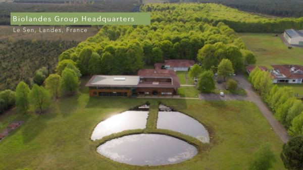 #雙11#　Reset｜靈魂對齊系列 1111,1111活動,1111優惠,雙11,雙11活動,雙11優惠,甦醒,淨化,更新,能量,復甦,重生,宇宙,顯化,喚醒,佛手柑 甜橙,葡萄柚,黑胡椒,檸檬馬鞭草,檸檬尤加利,迷迭香,天竺葵,薄荷,歐薄荷,胡椒薄荷,大西洋雪松,乳香,岩蘭草,母親節禮物,母親節,聖誕節,交換禮物,端午節,中秋節,入宅,入宅禮物,伴手禮,喬遷賀禮,喬遷,升官,生日禮物,彌月禮,婚禮小物,新年禮物,聖誕禮物,年節送禮