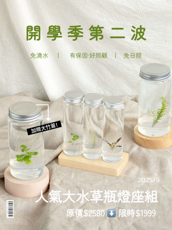 9月限定 小室瓶栽 水草系列  工業風4號瓶 水草瓶栽, 工業風瓶, 小室瓶栽, 組織培養, 吃果凍長大的植物, 免澆水植栽, 室內植物, 療癒小物, 辦公室植物