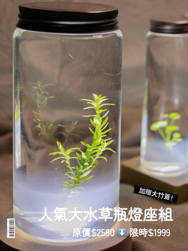 9月限定 小室瓶栽 水草系列  工業風4號瓶 水草瓶栽, 工業風瓶, 小室瓶栽, 組織培養, 吃果凍長大的植物, 免澆水植栽, 室內植物, 療癒小物, 辦公室植物