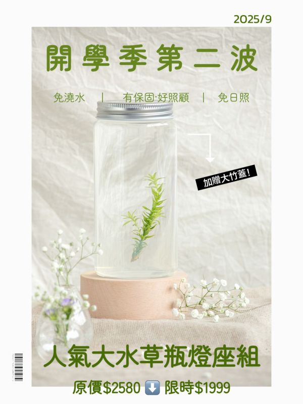 9月限定 小室瓶栽 水草系列  工業風4號瓶 水草瓶栽, 工業風瓶, 小室瓶栽, 組織培養, 吃果凍長大的植物, 免澆水植栽, 室內植物, 療癒小物, 辦公室植物
