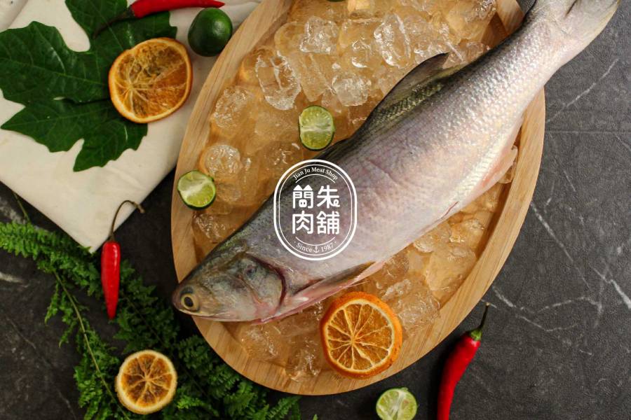 午魚 午魚, 簡朱肉舖, 新鮮午魚, 台灣午魚, 午魚美食, 漁獲午魚, 美味午魚, 午魚餐廳, 午魚料理, 午魚價格