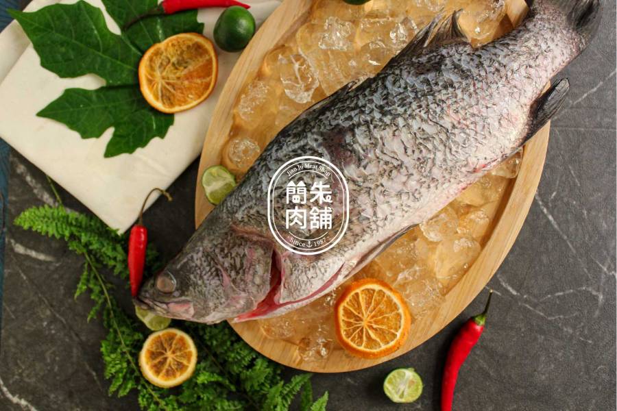 鱸魚 鱸魚
鱸魚肉
鱸魚料理
烤鱸魚
清蒸鱸魚
鱸魚食譜
鱸魚健康益處
鱸魚供應商
簡朱肉舖鱸魚
台灣鱸魚