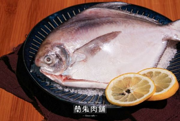 野生白鯧(兩尾裝) 野生白鯧
白鯧魚肉鮮美
簡朱肉舖白鯧
烤白鯧美味
白鯧燴湯營養豐富
高蛋白白鯧料理
鮮嫩白鯧肉質
食用價值高的白鯧
精選野生白鯧