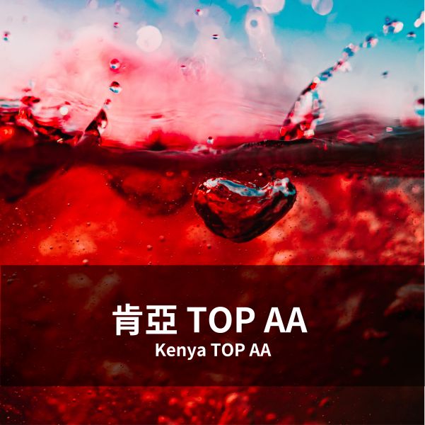 肯亞TOP AA Kenya TOP AA 肯亞