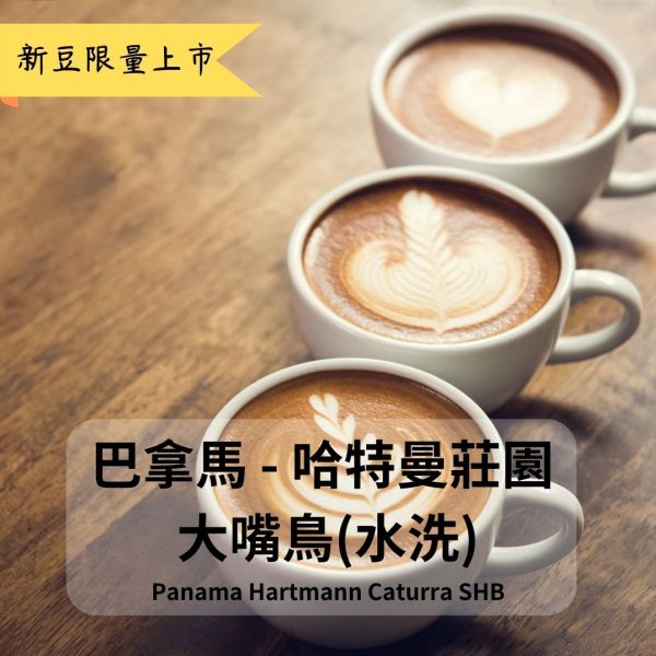 巴拿馬 哈特曼莊園 大嘴鳥 Panama Finca Hartmann Caturra 