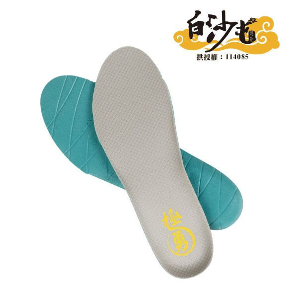 【白沙屯】極勇推手鞋墊 白沙屯媽祖,進香鞋,鞋墊,USTINI,太極,接地氣,太極鞋墊,舒適鞋墊