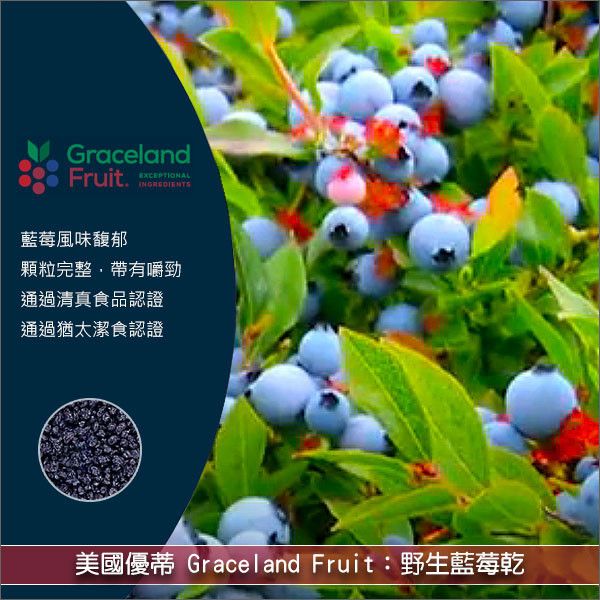 美國優蒂 GracelandFruit：野生藍莓乾 25lb〈會員免運，結帳時請輸入優惠碼 999〉 麵包,糕點,零食,沙拉