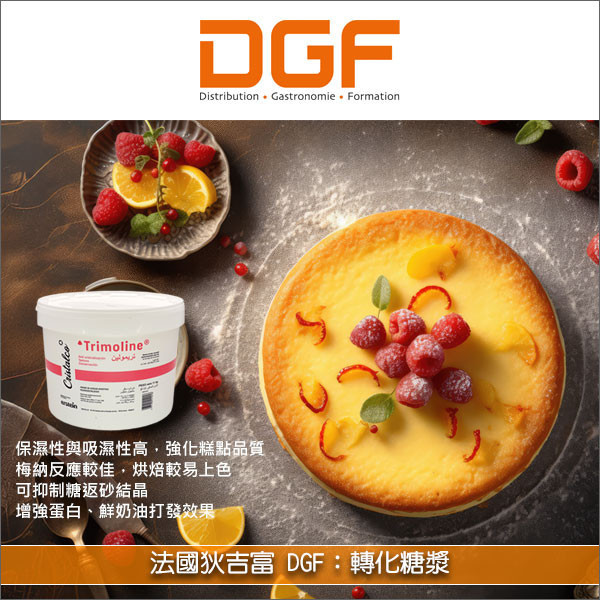 法國狄吉富 DGF：轉化糖漿 7kg〈會員免運，結帳時請輸入優惠碼 999〉 麵包,糖果,糕點,月餅,冰品