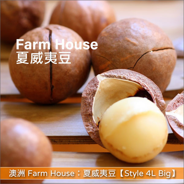澳洲 Farm House：夏威夷豆【Style 4L Big】25lb〈會員免運，結帳時請輸入優惠碼 999〉 麵包,糕點,甜點,料理