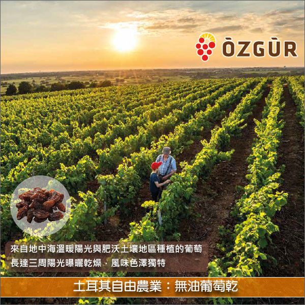 《分裝》土耳其自由農業 Özgür：無油葡萄乾 麵包,糕點,零食,沙拉,天然酵母