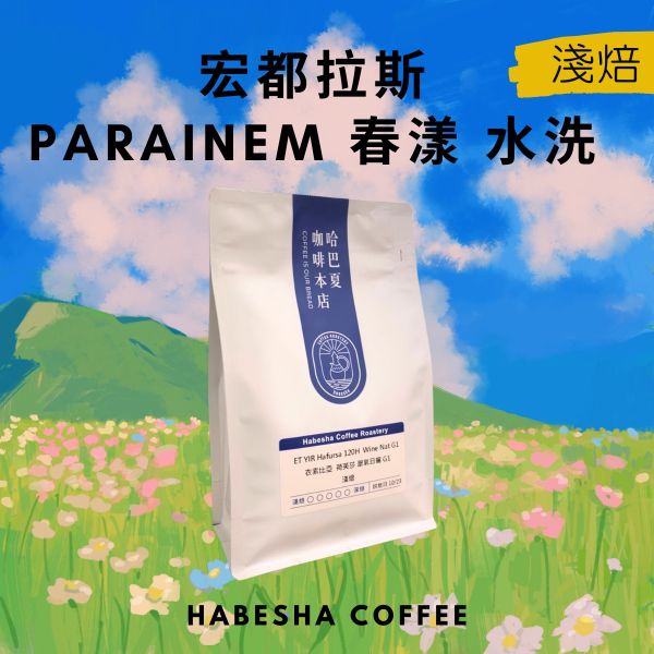 COE冠軍品種！宏都拉斯 Parainema 春漾 水洗 哈巴夏,哈巴夏咖啡,水洗處理咖啡,咖啡豆推薦,Parainema,COE冠軍品種