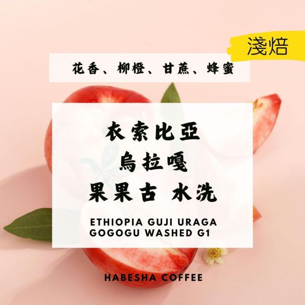 NEW！►衣索比亞 烏拉嘎 果果古 水洗 G1 #高海拔批次 衣索比亞咖啡,果果古,水洗處理,G1,高海拔咖啡,古吉產區,單品咖啡豆,精品咖啡,哈巴夏咖啡,烏拉嘎