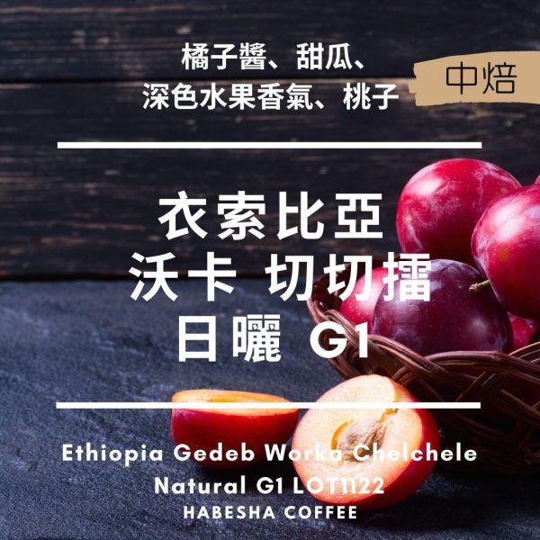 ►衣索比亞 耶加雪菲 沃卡 切切擂 日曬 G1 衣索比亞,沃卡切切擂,日曬咖啡豆,G1咖啡豆,耶加雪菲咖啡,哈巴夏咖啡,哈巴夏