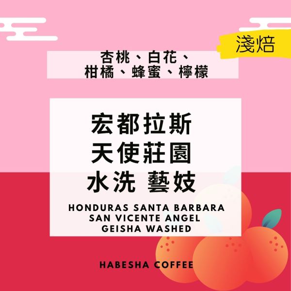 限量販售！► 宏都拉斯 聖文森處理廠 天使莊園  水洗 藝妓 1/4磅 藝伎,藝妓咖啡,宏都拉斯,水洗處理法、花香、COE