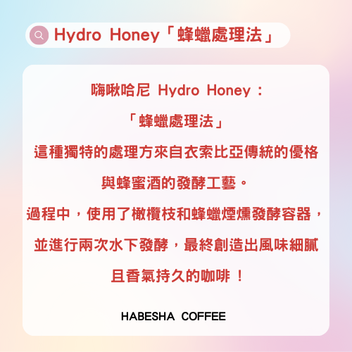 ►衣索比亞 耶加雪菲 Hydro Honey 蜂蠟日曬處理法 1/4磅 哈巴夏,哈巴夏咖啡,哈巴夏咖啡本店,咖啡豆,手沖咖啡豆,單品咖啡豆,淺焙咖啡豆,淺烘焙咖啡,咖啡豆推薦,咖啡豆專賣,淺焙咖啡豆, G1咖啡