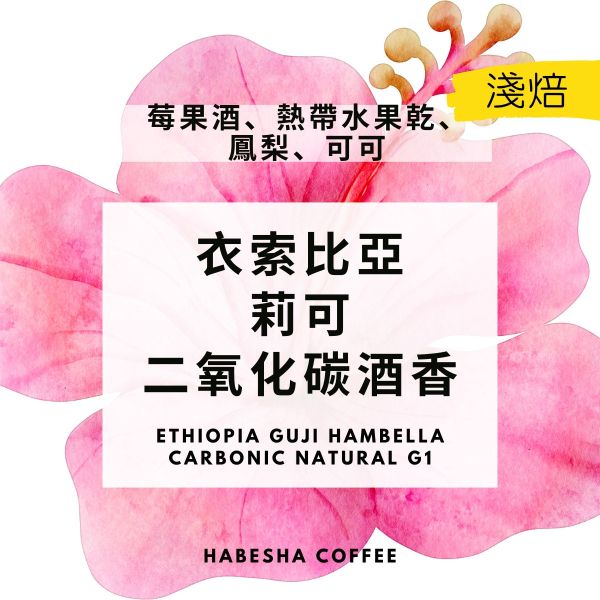新豆上架 ! ►衣索比亞 古吉 莉可 二氧化碳酒香 G1 單品咖啡豆,精品咖啡,咖啡豆烘焙,咖啡豆,咖啡豆宅配