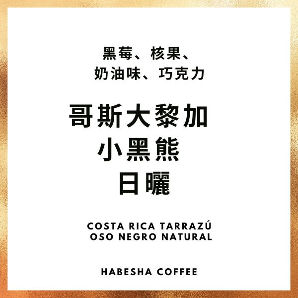 限時活動 ! 中焙 哥斯大黎加 小黑熊 日曬 1/4磅 