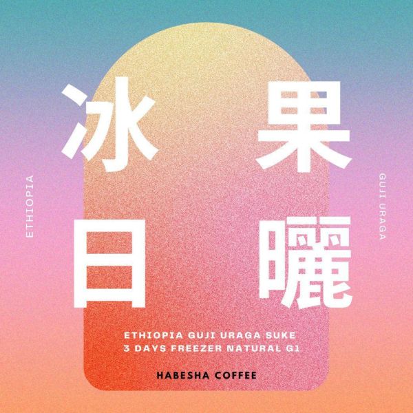 4日快閃優惠! ►衣索比亞 古吉 冰果日曬 G1 衣索比亞冰果日曬G1