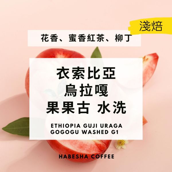 新豆上架！►衣索比亞 烏拉嘎 果果古 水洗 G1 #高海拔批次 果果古,水洗,G1,高海拔批次