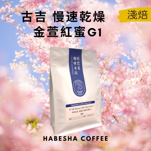 ►衣索比亞 古吉 金萱紅蜜 G1 咖啡豆,哈巴夏咖啡,古吉咖啡,谷吉咖啡,精品咖啡豆,G1咖啡