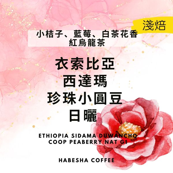 即將售完！►衣索比亞 西達瑪 高海拔 珍珠小圓豆 日曬 G1 衣索比亞,高海拔,日曬,G1,Sidama,珍珠小圓豆