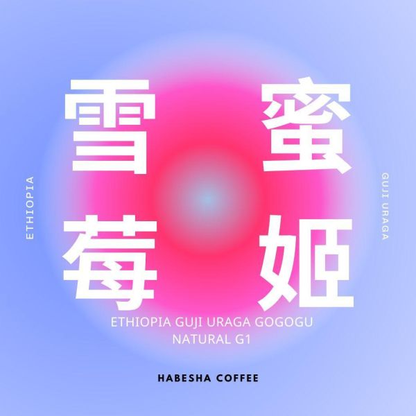 新品預購優惠！►衣索比亞 古吉 雪蜜莓姬 日曬 G1 哈巴夏,哈巴夏咖啡,衣索比亞咖啡,古吉咖啡,日曬咖啡,精品咖啡豆,Ethiopia,Guji,Natural,G1,草莓咖啡,荔枝咖啡,淺焙咖啡豆,HABESHA COFFEE