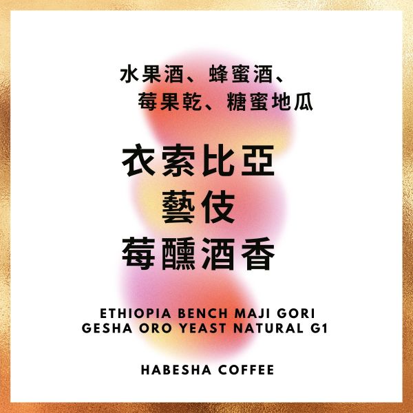 限時4日優惠 ! ►衣索比亞 藝伎 莓醺酒香 G1 哈巴夏,哈巴夏咖啡,哈巴夏咖啡本店,咖啡豆,手沖咖啡豆,單品咖啡豆,淺焙咖啡豆,淺烘焙咖啡,咖啡豆推薦,咖啡豆專賣,淺焙咖啡豆, G1咖啡,衣索比亞,藝妓,黑蜜,G1